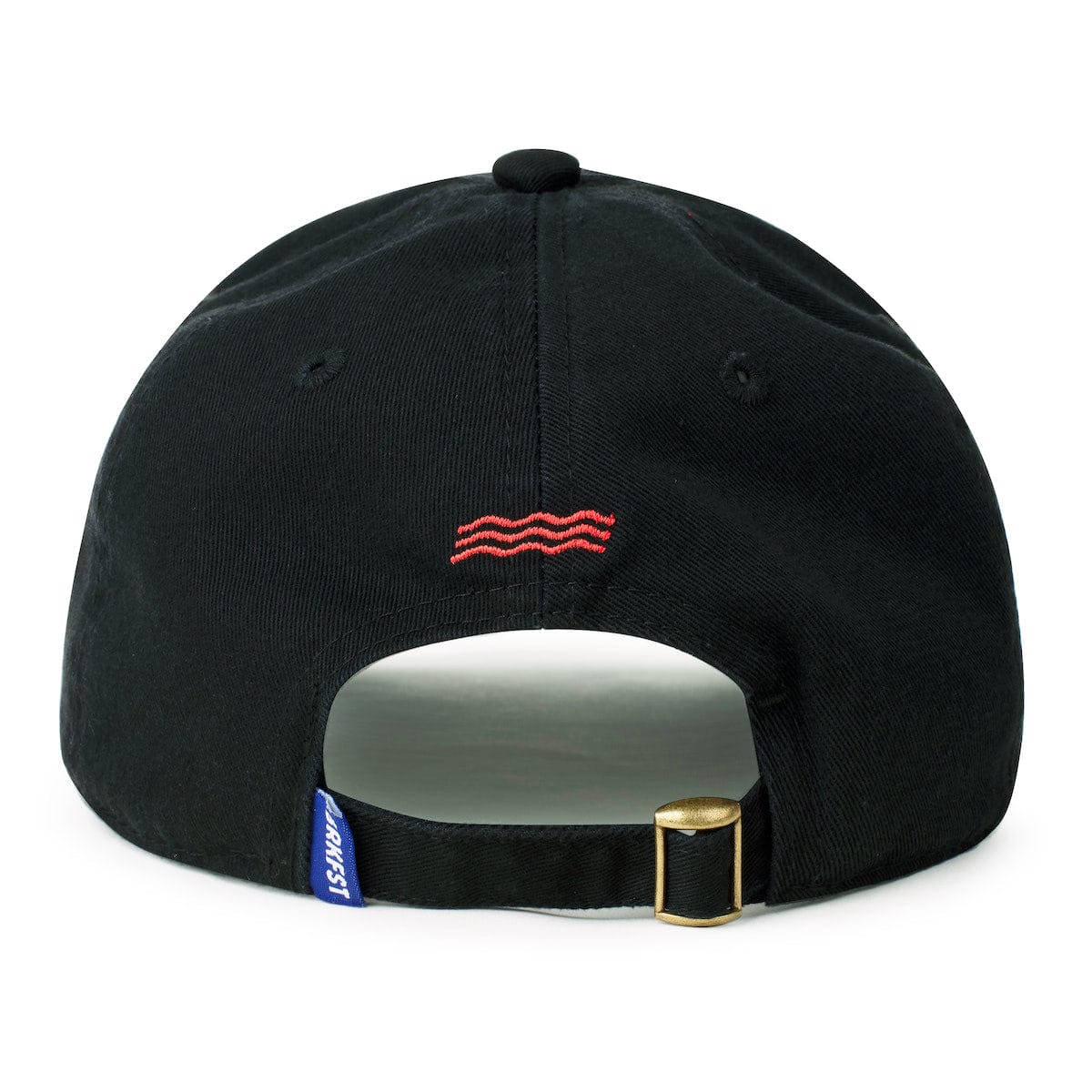 NASA "Meatball" – Dad Hat - Image 2