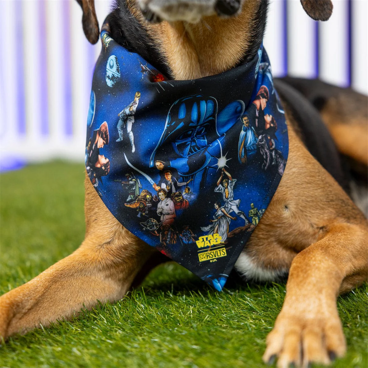 Star Wars™ "The Trilogy" – Dog Bandana - Image 4