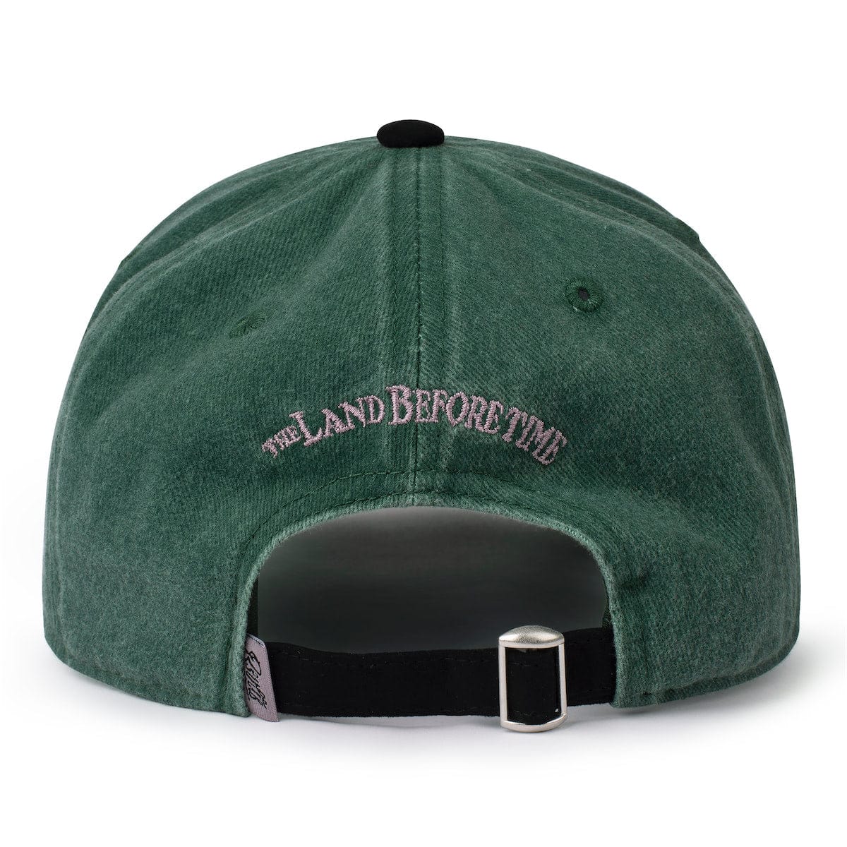 The Land Before Time "Me Can Fly!" – Dad Hat - Image 2
